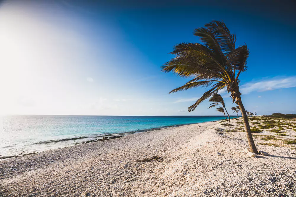 Pink Beach, Bonaire