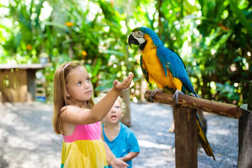 Baton Rouge Zoo - Things to Do in Baton Rouge