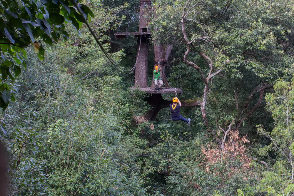 Flight of the Gibbon - Top Things to do in Pattaya