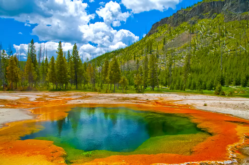 Comprehensive Guide to Yellowstone 2024 – Seasons Unveiled