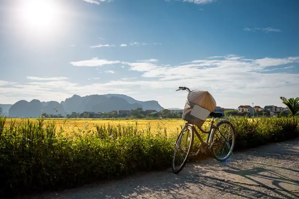 Sky Bike Over Rice Fields - Romantic Experiences in Bali