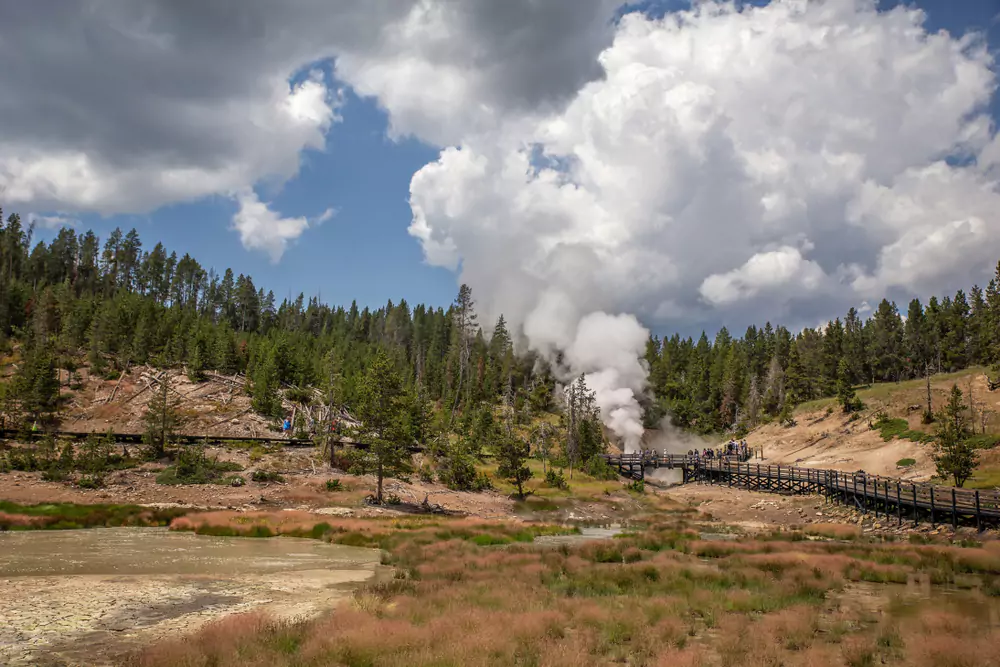 Summer in Yellowstone