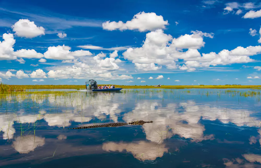 Airboat Everglades Tour - Things to Do in Orlando