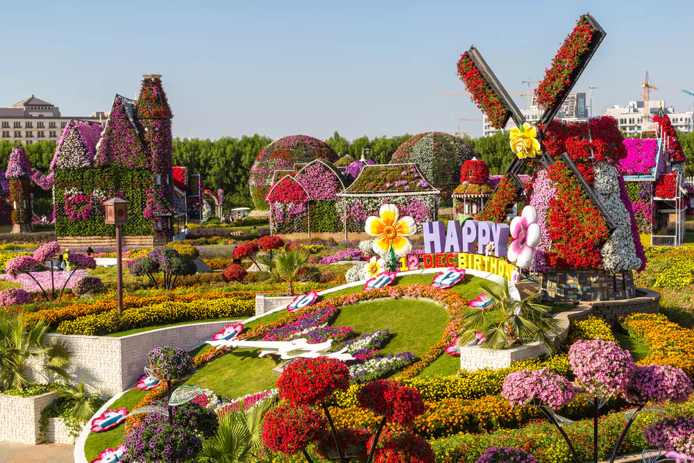 Miracle Garden - Things to Do in Dubai