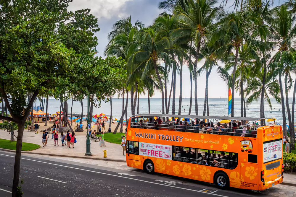 Public Transportation - Free things to do in Oahu