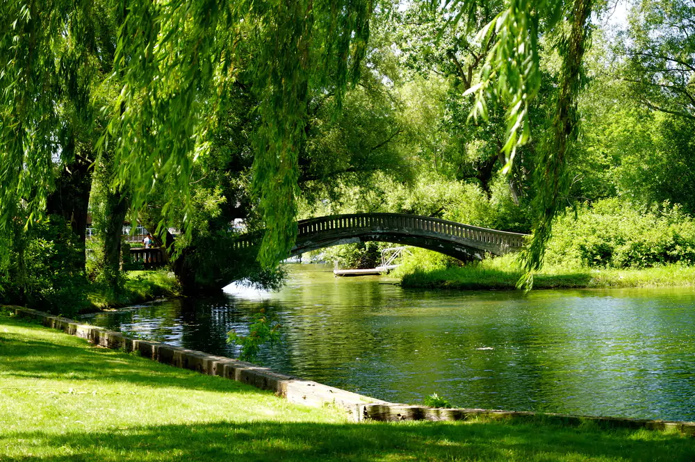 Bridge on Toronto Central Island - Best Places to Visit in Toronto