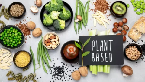 Plant Based - Plant Based High Protein Meals