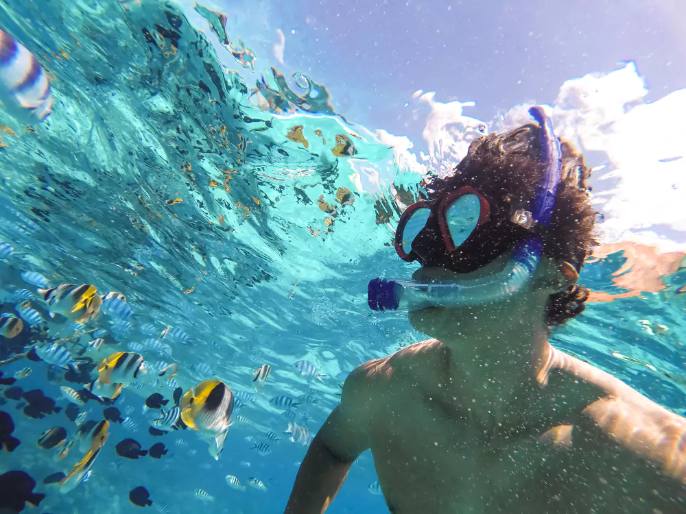 Snorkeling in Bora Bora - Top Romantic Activities in Bora Bora