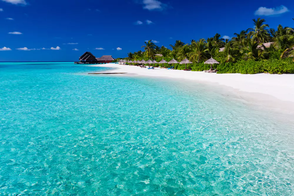 Pristine Beaches - Top Things to Do in Tahiti